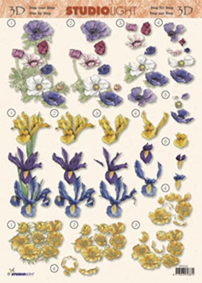SL338 Studio Light  Bloemen