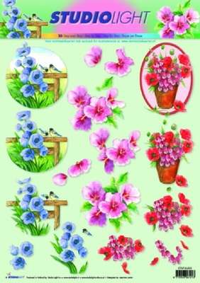SL855 Studio light Bloemen