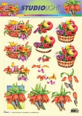 SL893 Studio Light Bloemen