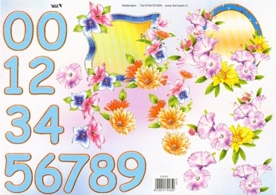 TBZ574165 Embossed Bloemen