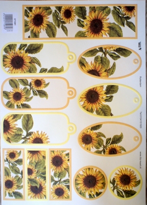 TBZ571081 Embossed labels