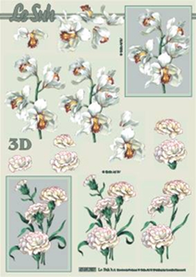 4169757 LeSuh Bloemen