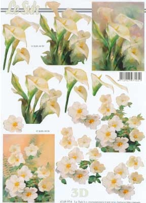 4169974 LeSuh Bloemen