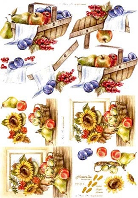 8215015 LeSuh Fruit