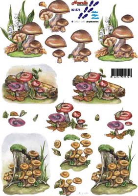 8215073 LeSuh Paddenstoelen