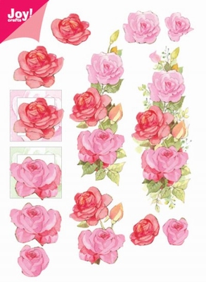 60100001 Joy 3D Bloemen A5 per  10 Vel