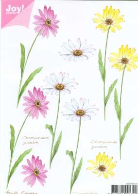 60100015 Joy 3D Bloemen A5  10 Vel