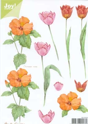 60100016 Joy 3D Bloemen A5  10 Vel