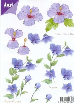 60100017 Joy 3D Bloemen A5  10 Vel