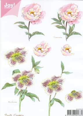 60100018 Joy 3D Bloemen A5  10 Vel