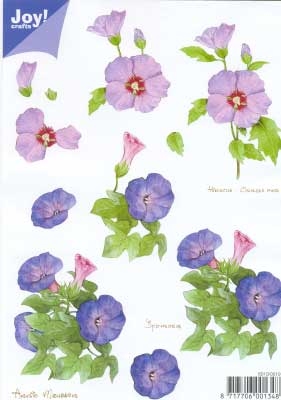 60100019 Joy 3D Bloemen A5  10 Vel