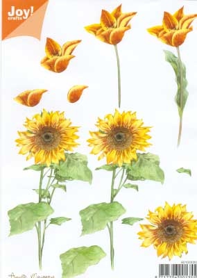 60100020 Joy 3D Bloemen A5  10 Vel