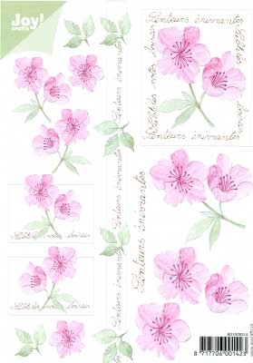60100014 Joy 3D Bloemen A5  10 Vel