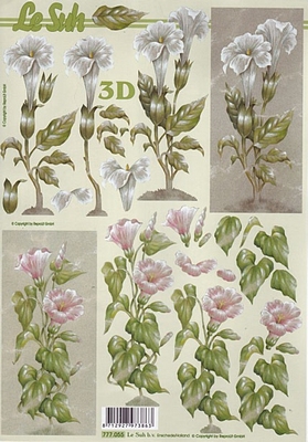 777055 LeSuh Bloemen