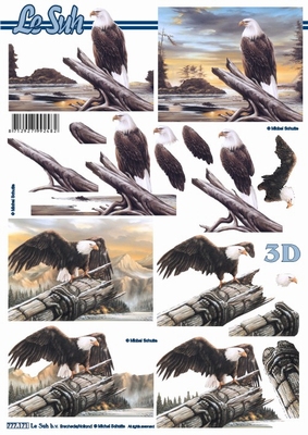 777171 LeSuh Vogels