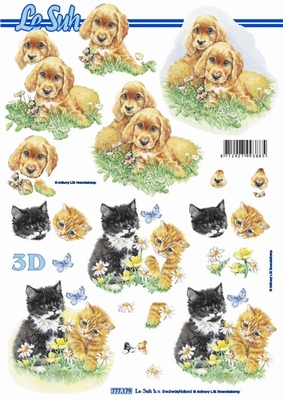 777179 leSuh Pups en kittens