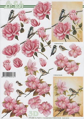 777233 LeSuh Bloemen