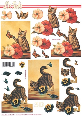 777283 LeSuh Kittens
