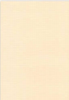 A5 Karton 148 X 210 MM Nr 07 Chamois per 5 vel