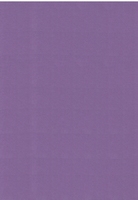 Vierkant karton 13,5 X 27 cm Nr 62 Druivenpaars per 5 vel