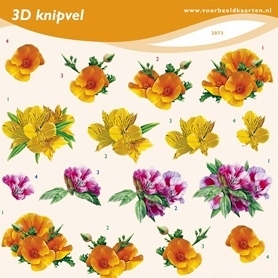 ALGEMENE   KNIPVELLEN