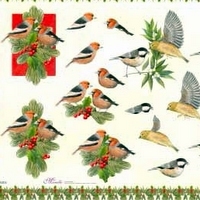 10 A4 KNIPVELLEN KERST &euro;2,00