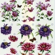 3 KNIPVELLEN BLOEMEN