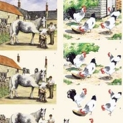 4 KNIPVELLEN DIEREN