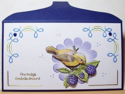 Cadeau Enveloppen