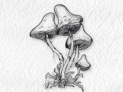 Clear Stamps Fairy Tale