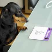 CLEARSTAMPS VANAF €0,50