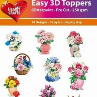 EASY 3D TOPPERS + STANSPLAATJES