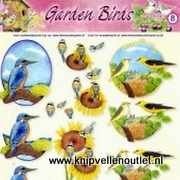 Garden Birds