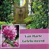 HG BLOEM