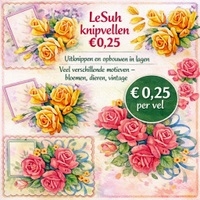 LERSUH KNIPVELLEN NU SLECHTS  &euro; 0,25