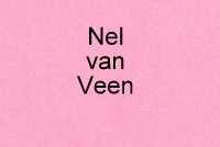 Nel v veen
