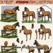 Paarden