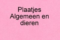 Plaatjes algemeen en dieren