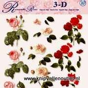 Romantic Roses